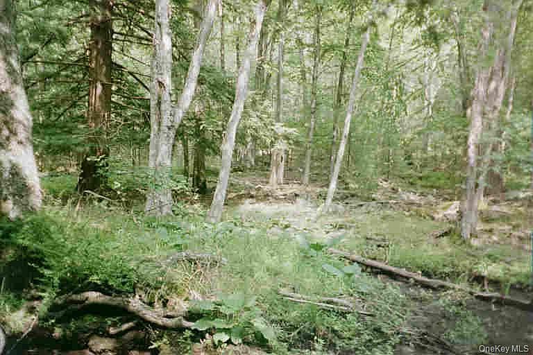 2nd image of Lot 59.2 Lower Lumber Road