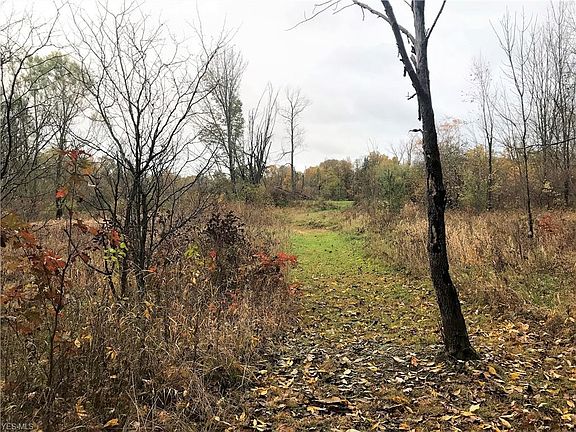2nd image of 1262 River Woods Dr