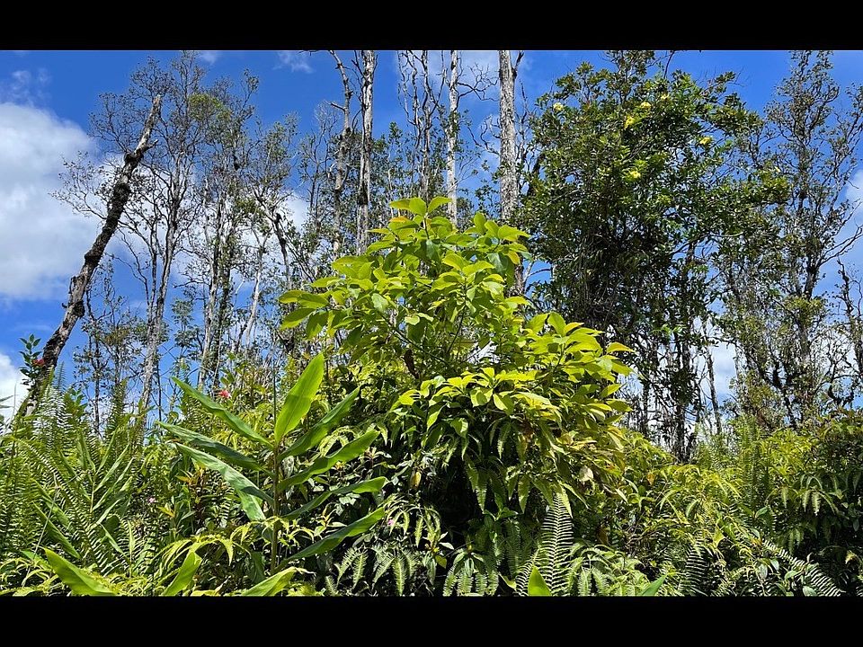 1st image of Tangerine Dr Lot 72
