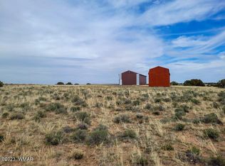 32 Horizon Rnch, Saint Johns, AZ 85936