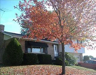 29 Elgin Dr photo 1