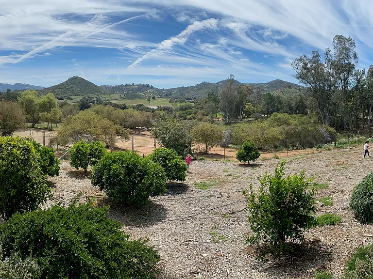 28373 Alamar Rd — Photo 6