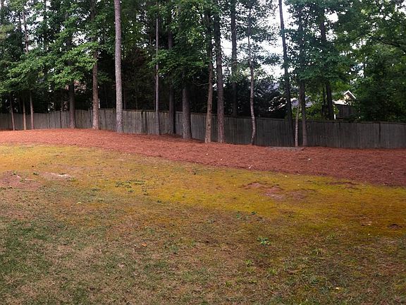 Large back yard