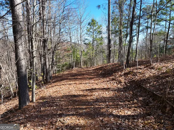 LOT 18 The Hills At Queens #Gap, Blairsville, GA 30512