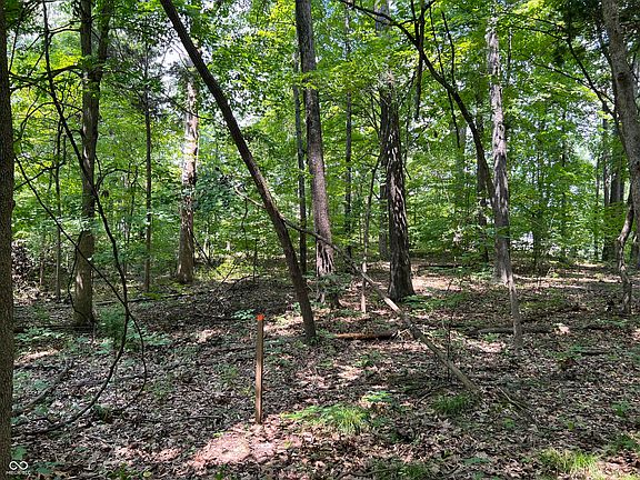 5th image of 3501 S Swartz Ridge Rd