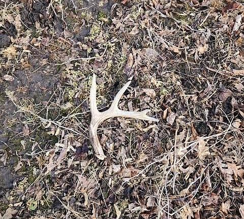 4th image of 0000 Main Rd