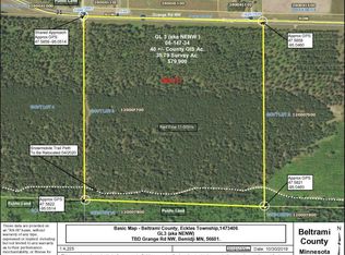 Grange Rd NW, Bemidji, MN 56601