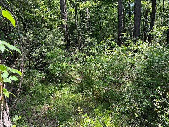 2nd image of 366 & 374 Rain Forest Rd Lot 62 & 63