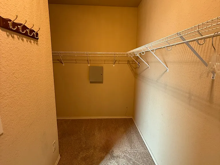 looking towards the other side of the walk in carpeted closet that is accessible from the downstairs bedroom