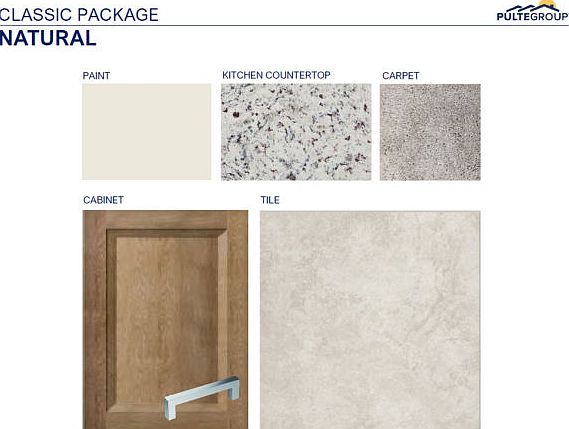 Interior Color Scheme