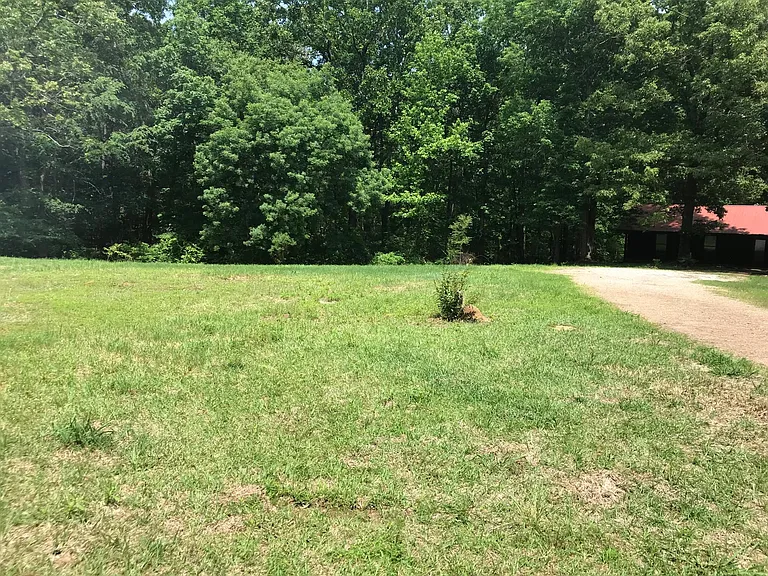 Front yard.