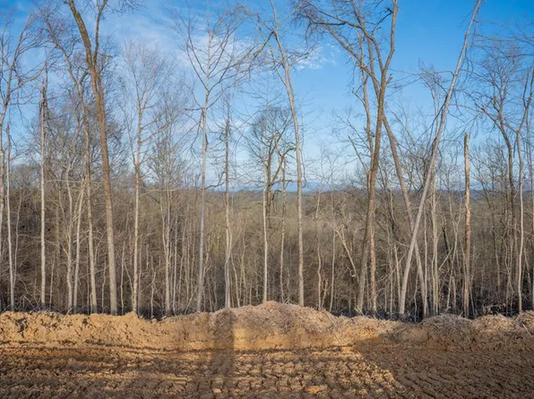 166 Reedmont Way, Sevierville, TN 37876
