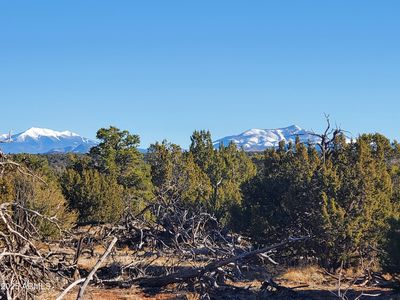 2589 N Lipan Rd LOT 203, Williams, AZ, 86046