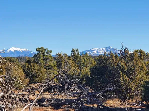 2589 N LIPAN Road #203, Williams, AZ 86046