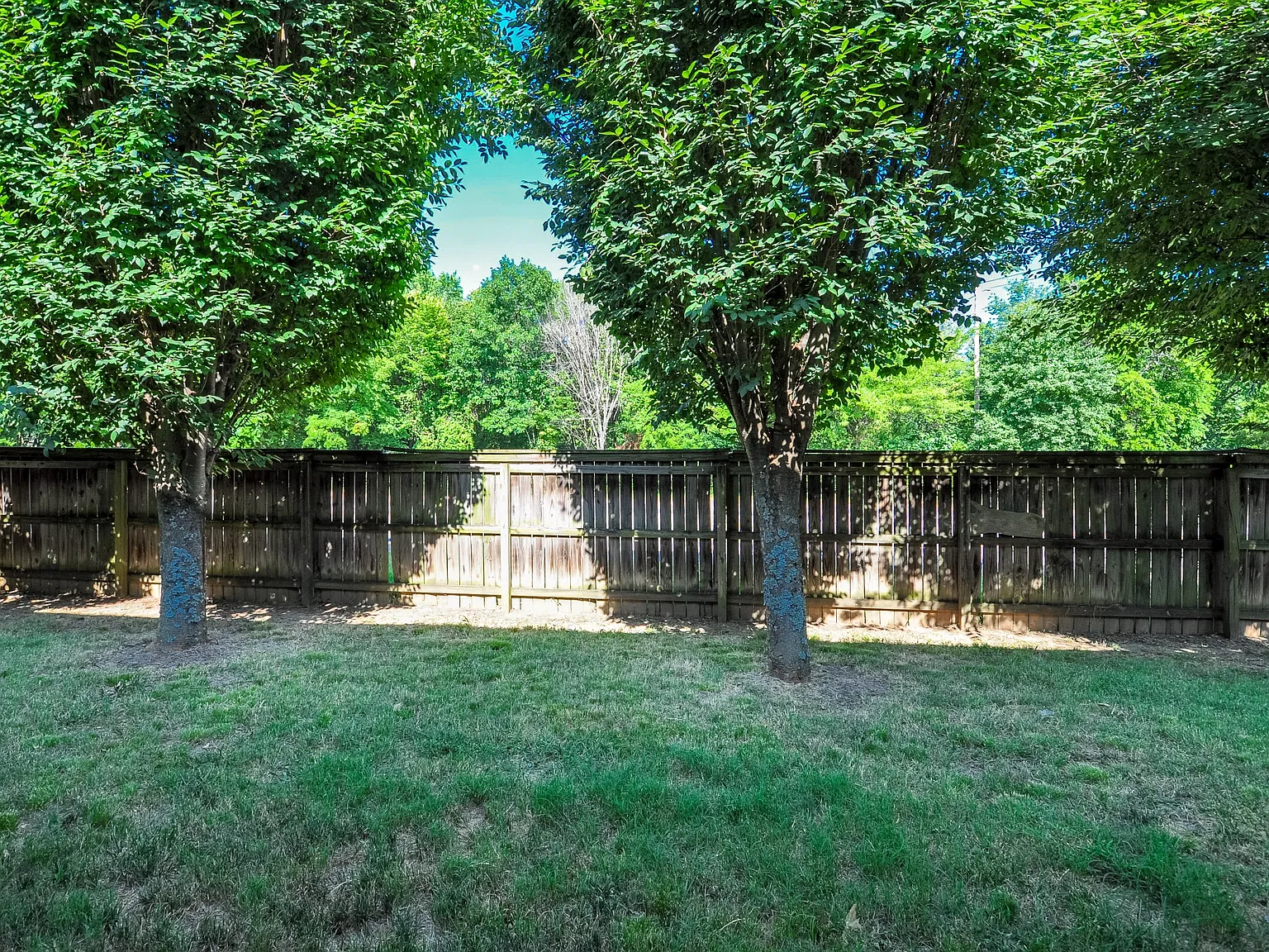 1446 West Netherland Way - 3 — Photo 4