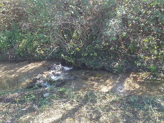 Small stream