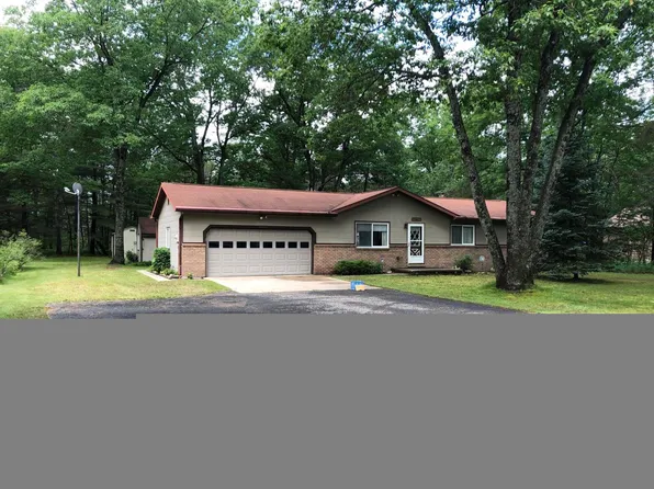 4678 Forest Trl, Indian River, MI 49749