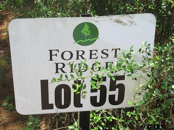 3rd image of LOT 55 County Road 1060