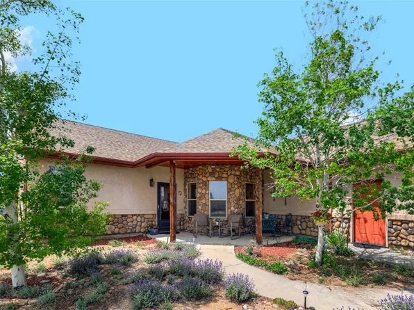 16456 County Road 356-08, Buena Vista, CO 81211