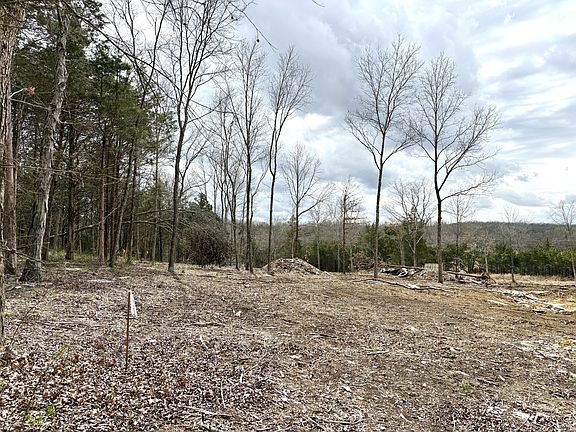 4th image of 0 Mays Chapel Rd Lot 2