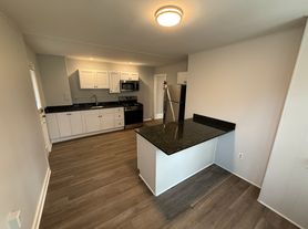 401 Spring Street Apt 2