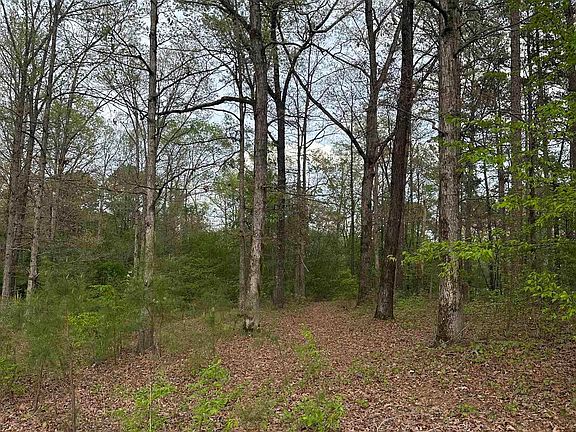 2nd image of 1796 Traskwood Rd