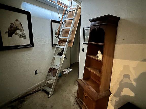 3rd image of 2044 Rainbow Farms Dr