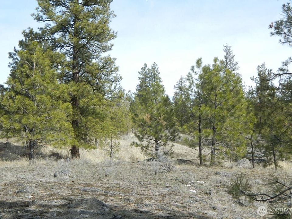 1st image of 280 Reevas Basin Road