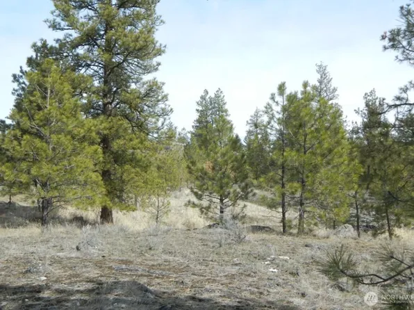 280 Reevas Basin Road, Tonasket, WA 98855