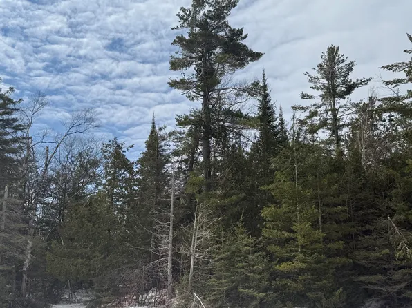 0 Huron Trl, Cheboygan, MI 49721