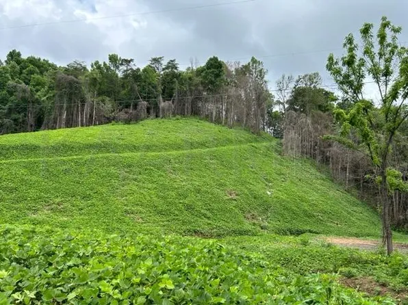 Archer Rd, Luttrell, TN 37779