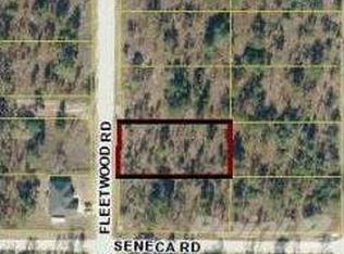 15346 Fleetwood Rd, Weeki Wachee, FL 34614