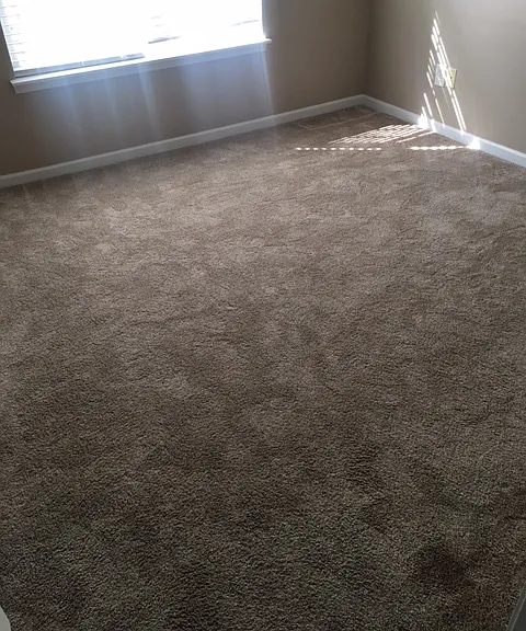 8112 Christmas Ct — Photo 4