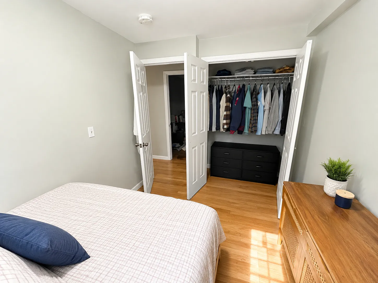 5 bed, 1500 sqft, $6,250 — Photo 3