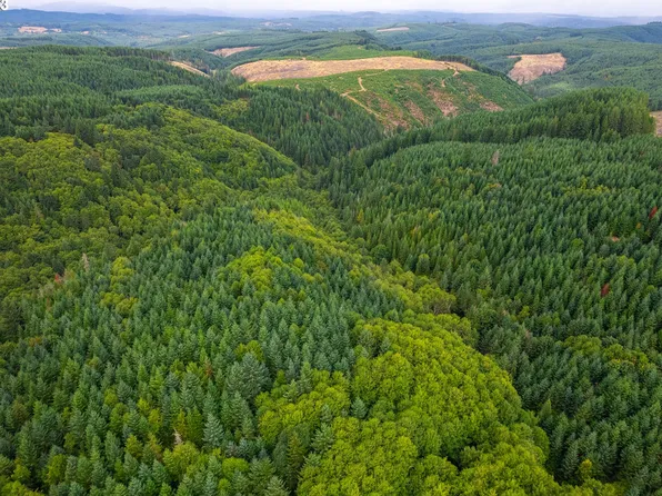 Bacona Rd, Vernonia, OR 97064