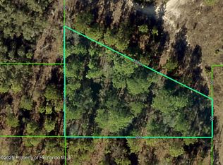 15241 Barron Ct, Brooksville, FL 34614