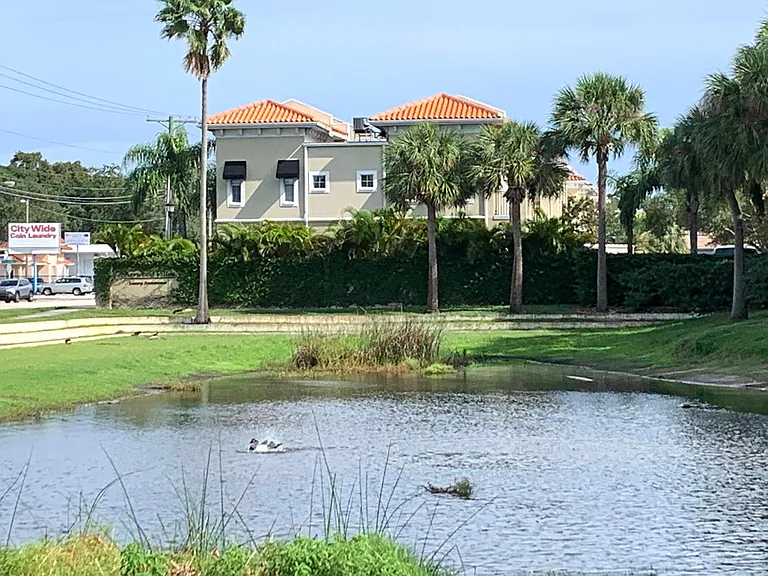 Next door pond, great for dog walks