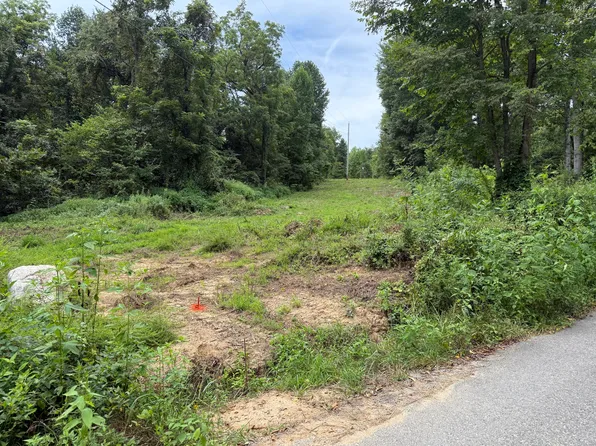 947-999 Yellow Springs Rd, Cosby, TN 37722