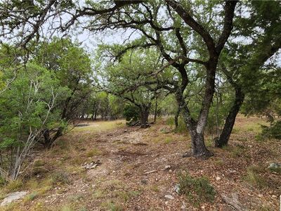 1372 Roadrunner Ln, Canyon Lake, TX, 78133