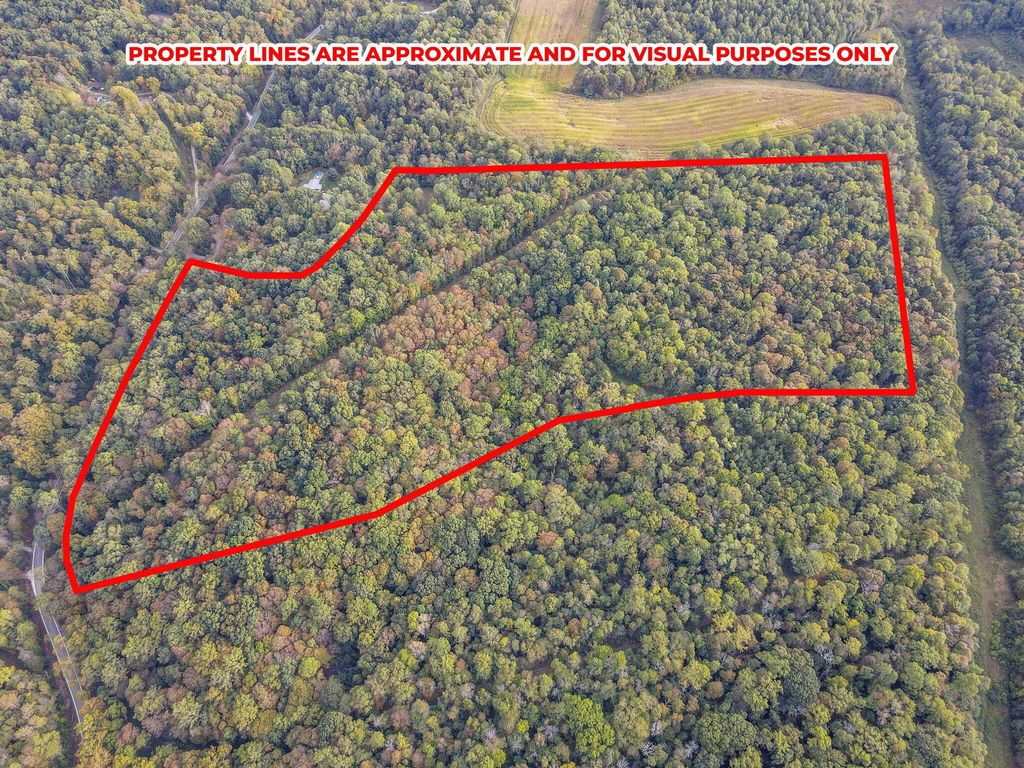 Real estate listing image