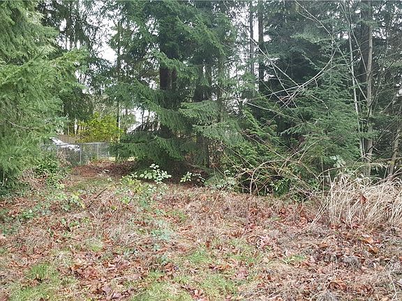 5th image of 12126 Scenic Dr