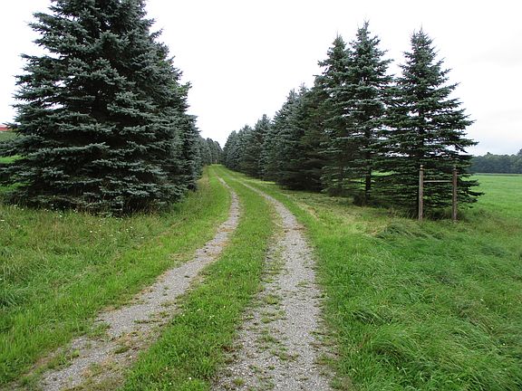 3rd image of Dodge Hollow Rd