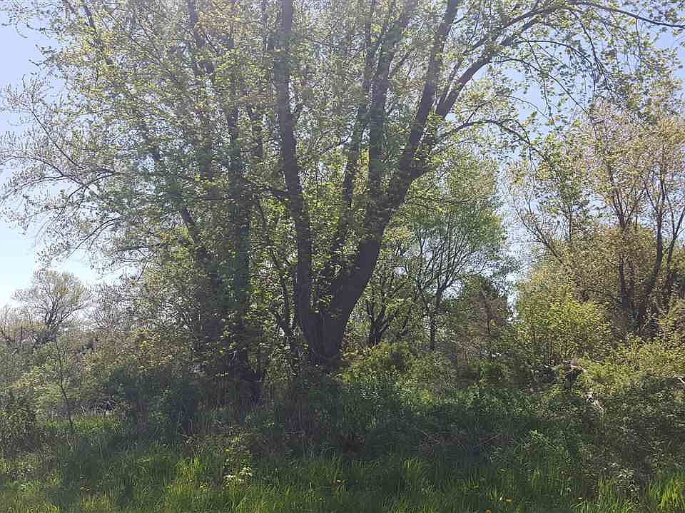 2nd image of 7123 State Highway 73