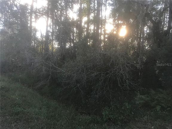 2nd image of 10844 Country Haven Dr