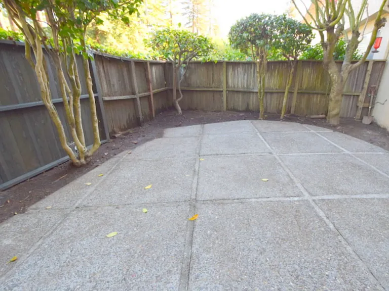 170 Miller Ave #7 — Photo 3