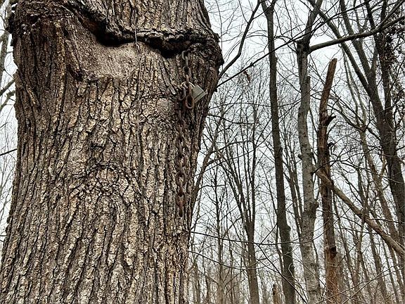 5th image of Highway T Forest Rd #3697