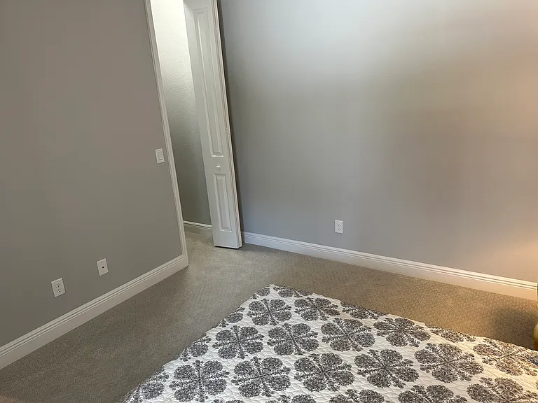 4723 Willow Bend Ave #4723 — Photo 10
