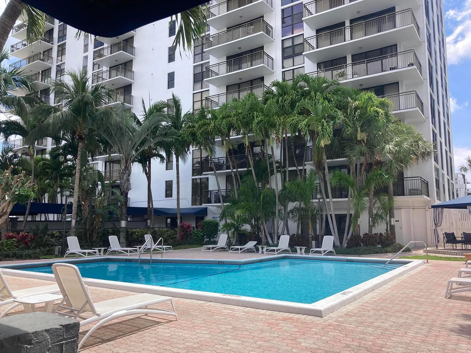 2 bed, 2.0 bath, 1031 sqft, $2,900 — Photo 2