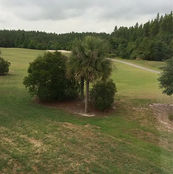 10515 Coral Key Ave — Photo 23
