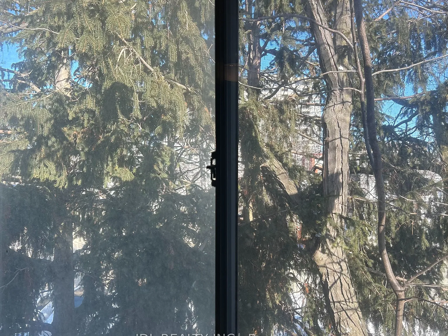 1 bed, $749 — Photo 2